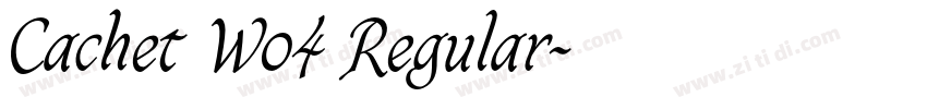 Cachet W04 Regular字体转换